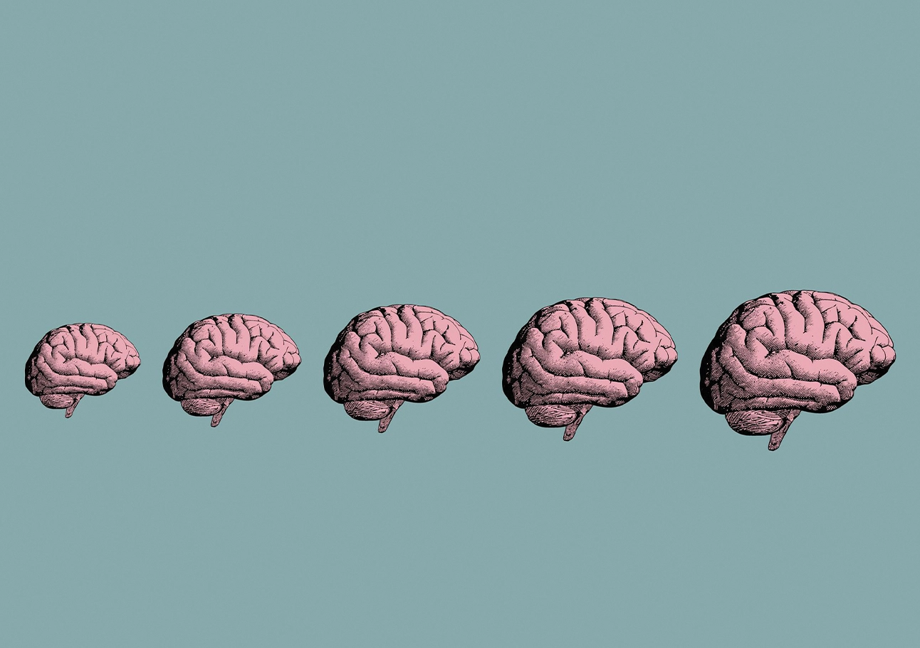human-brain-ages