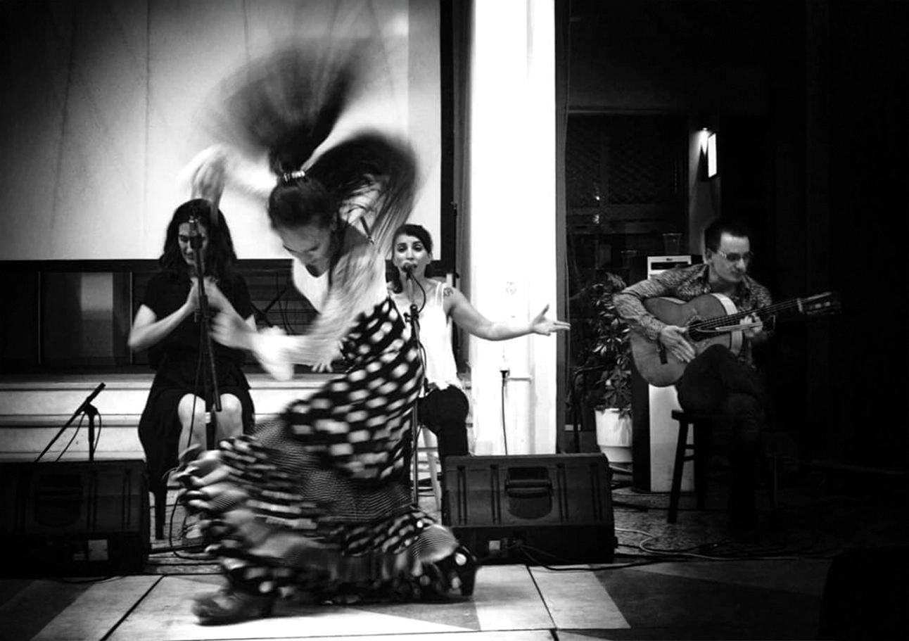 flamenco
